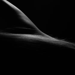 BodyLandscape Claudia