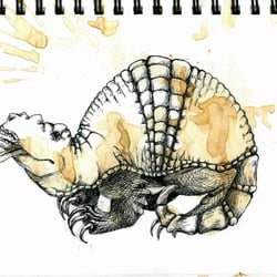 DAY 14