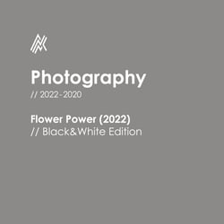Flower Power / 2022