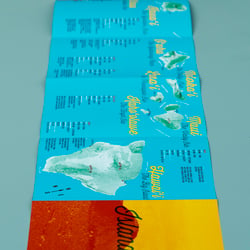 CM 26 052 1200px