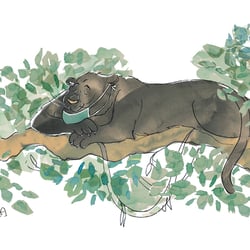 Der schlafende Panther. „Maskenball der Tieren“, Ebook von Hans Gärtner, Schillo Verlag, 2020