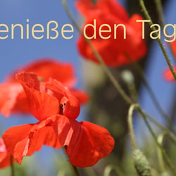 Genieße den Tag