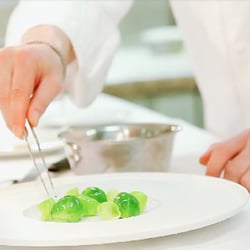 Autostadt |Gastronomie