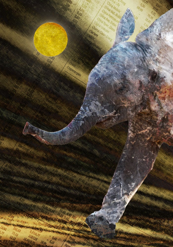 elefant