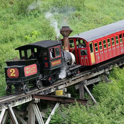 The Cog Railway