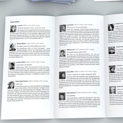 Faltblatt für die Rosa-Luxemburg-Stiftung Sachsen