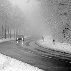 on the road 2504k