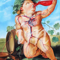 Drinking Bacchus (Guido Reni), Entdeckung des Blutkreislaufs durch William Harvey