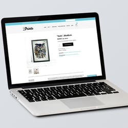 Webshopgestaltung, Illustrationen