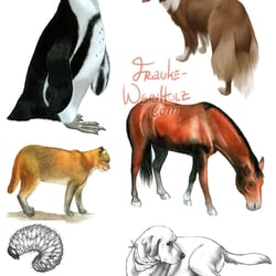 Tiere, realistisch. Aquarell, Bleistift, Photoshop, Fineliner