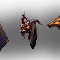 Heads