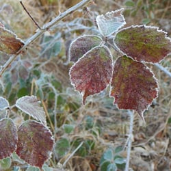 DSCN0582