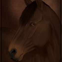 Quarter Horse Chicko