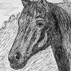 Tusche/Fineliner, 16×22cm