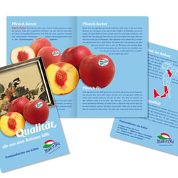 Entwurf Flyer