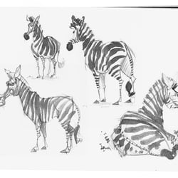 Tierportraits