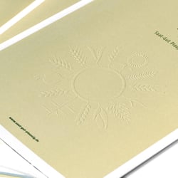 Saat-Gut Plaußig Imagebroschüre
