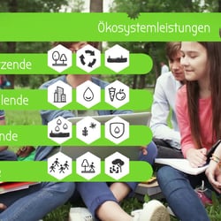 Still aus der Produktion „Ökosystem Stadt”