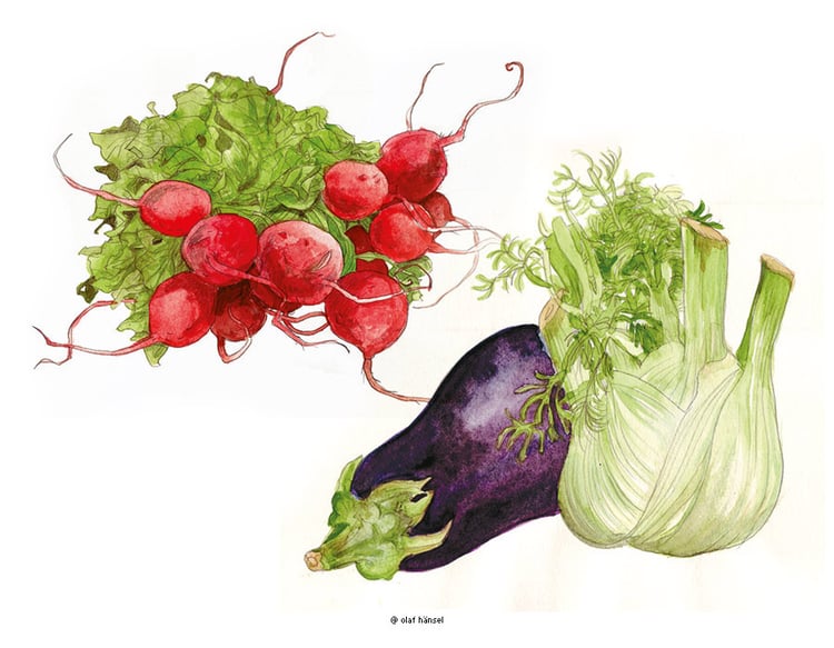 Skizzen / Studien / Aquarell