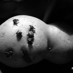 Food Kartoffel Foto Übungen 2014