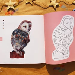 Cover and content of the self-published book“Pinta con Karina: pajaritos chilenos”, 2019.