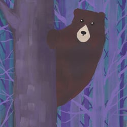 Bär