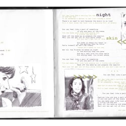 „Skin“ [Inlay]