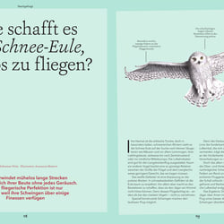 „Schnee-Eule“ (Wohllebens Welt)
