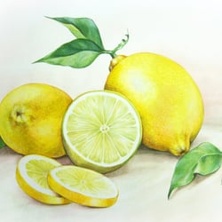 “LEMONS” – Aquarell