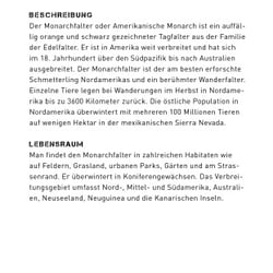 Infotafel