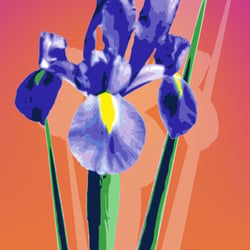 “IRIS” – digital