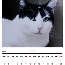 Kalendar 2012 – Format A3 & A6 – Gestaltung & Fotos