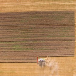Ein Mähdrescher der Firma Claas während der Ernte auf einem Getreidefeld.