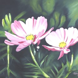 Kosmeenblüten, Öl a. Lw., 50×60 cm, 2005
