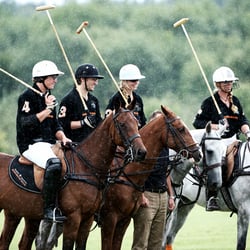 POLO_12