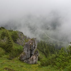DSC 0467