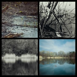 Frühling 2018