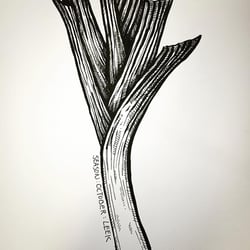 VerenaFaeth Leek Ink
