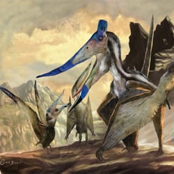 Pteranodon—(Editorial Sol90—Argentina / España 2012)