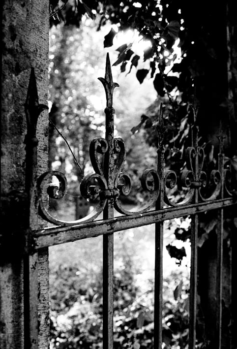 091001-07 Melatenfriedhof