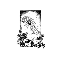 Illu 14