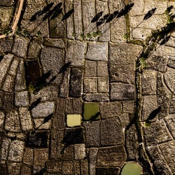 Reisfeld / Ricefield, Kambodscha / Cambodia (Luftbild mit einer Drohne)