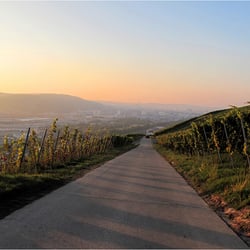 Abendsonne 1796k