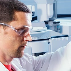 Labor, Analyse
