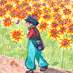 The sunflowers