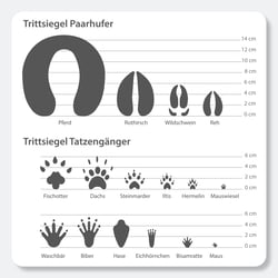 Übersicht, Illustration für Lehrmittel, Raabe Verlag-GmbH