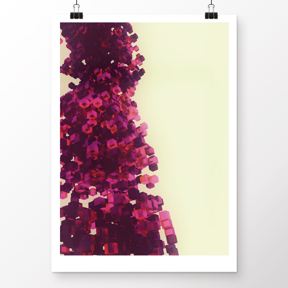 cubes in pink