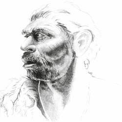 Homo Heidelbergensis, Bleistiftskizze