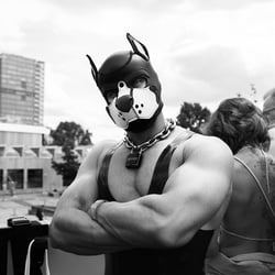 CSD 2024 – Plakatkampagne