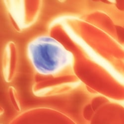 3D Medizinische Animation 4